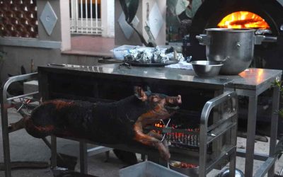 Why The Bible Prohibits Pork Meat?